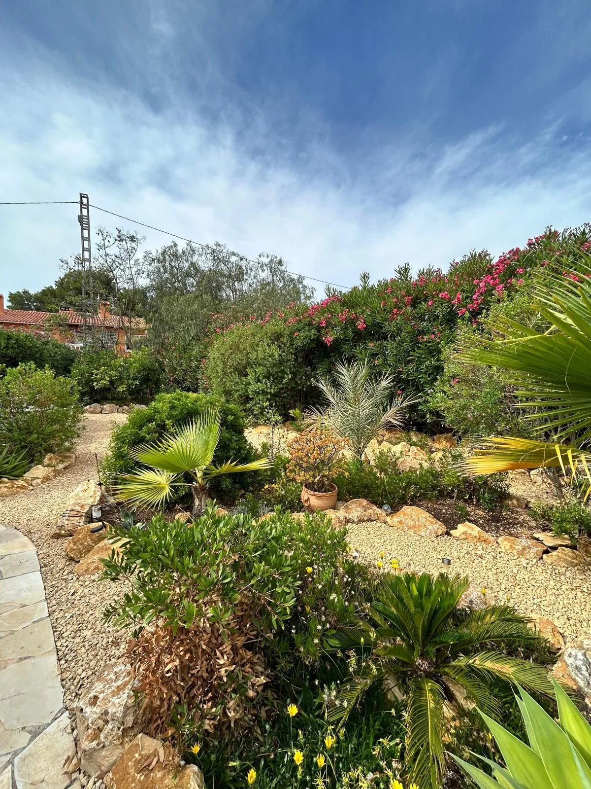 Weelderige mediterrane beplanting