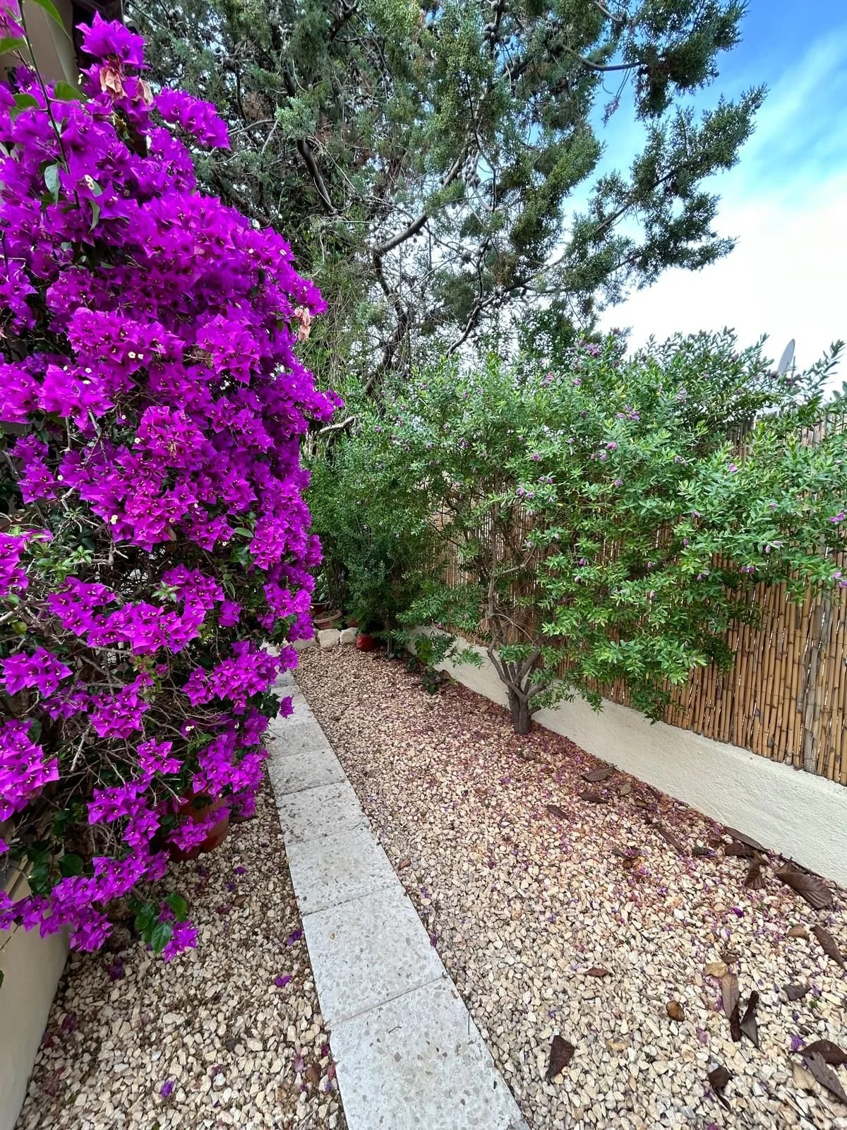 Zijpad met mediterrane planten